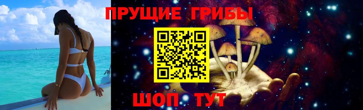 Томск  Галлюциногенные грибы ЛСД  Вход с VPN 